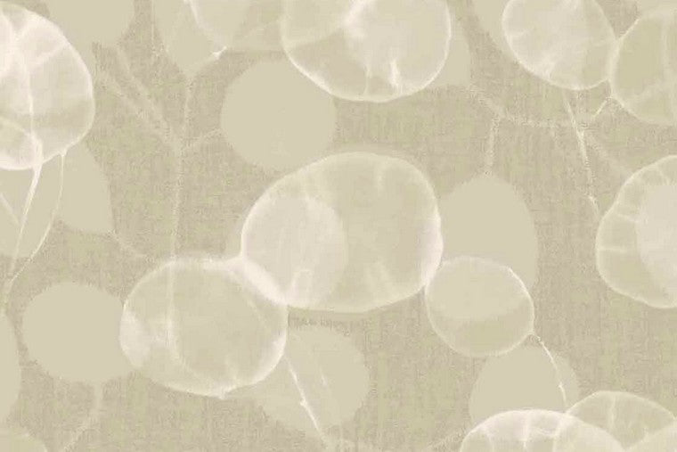 Papel Mural - Roots - 363331