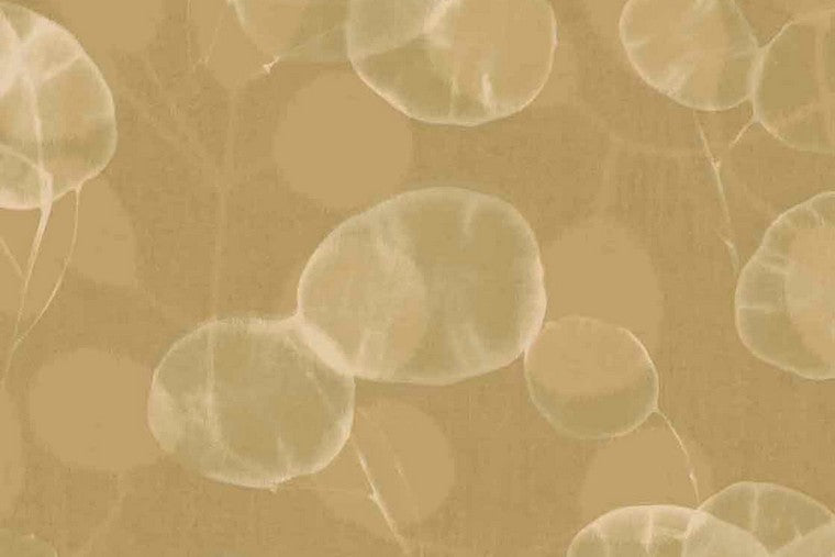 Papel Mural - Roots - 363332