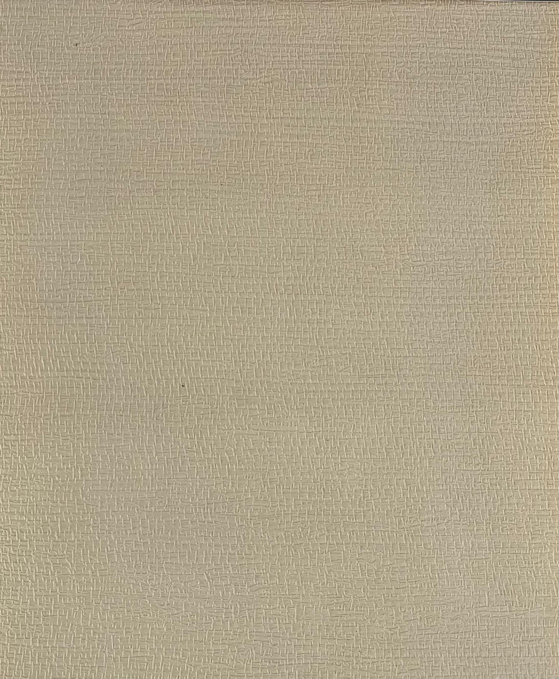 Papel Mural - Grass Cloth M-941 (280 grs)