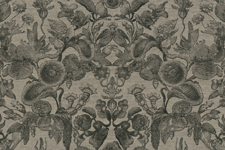 Coccinella Bella Jacquard - MO5002