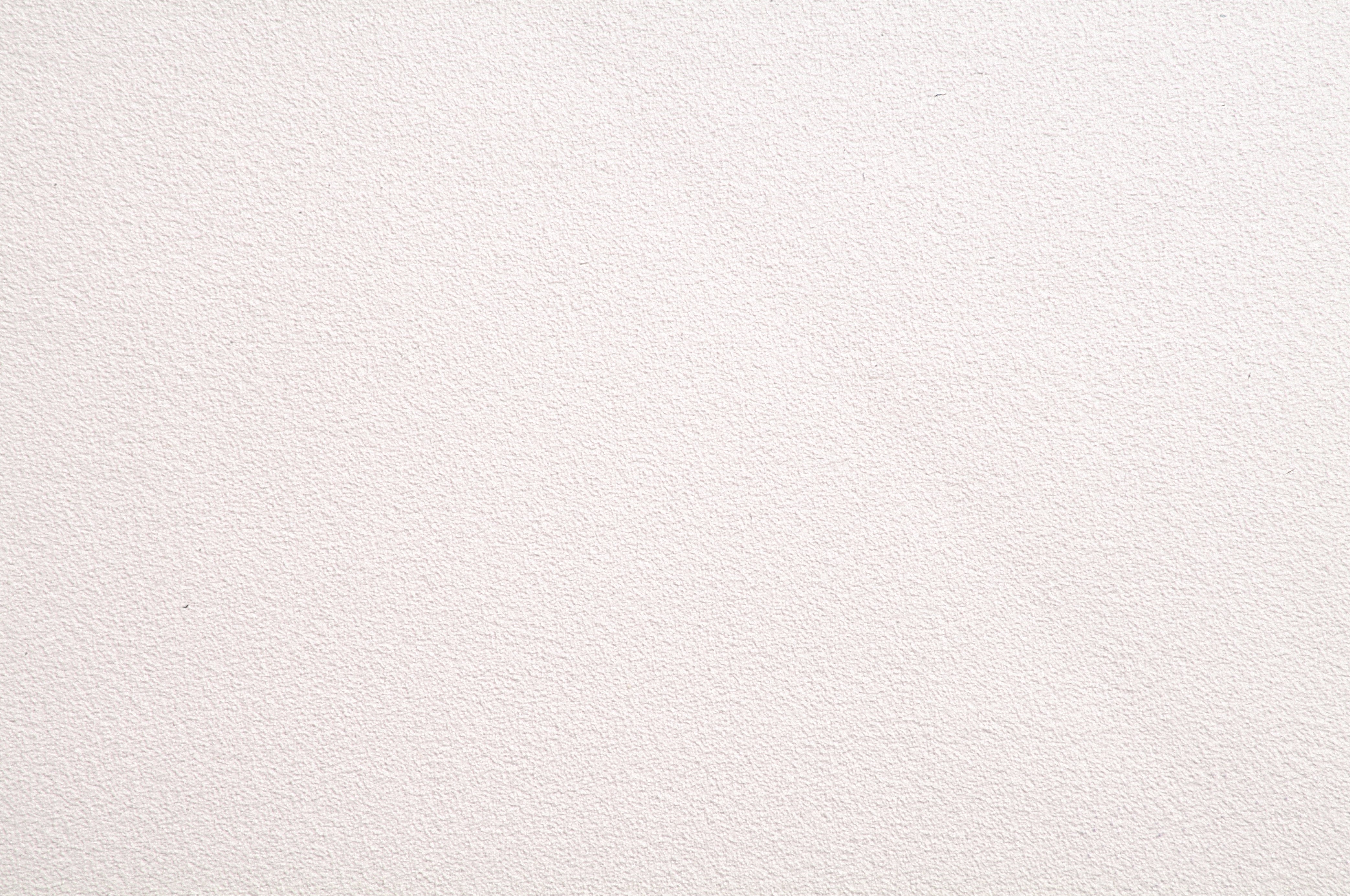 Papel Mural - Pin Point Soft Rose