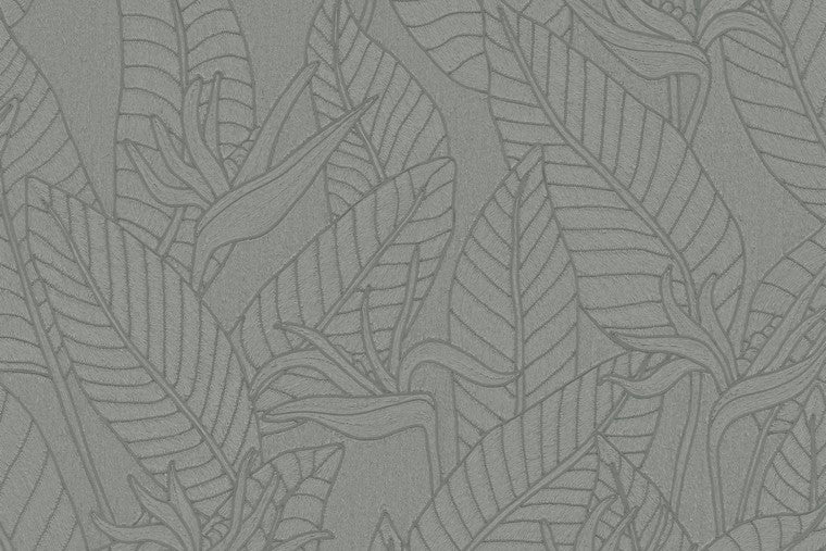 Papel Mural - Strelitzia - 60751