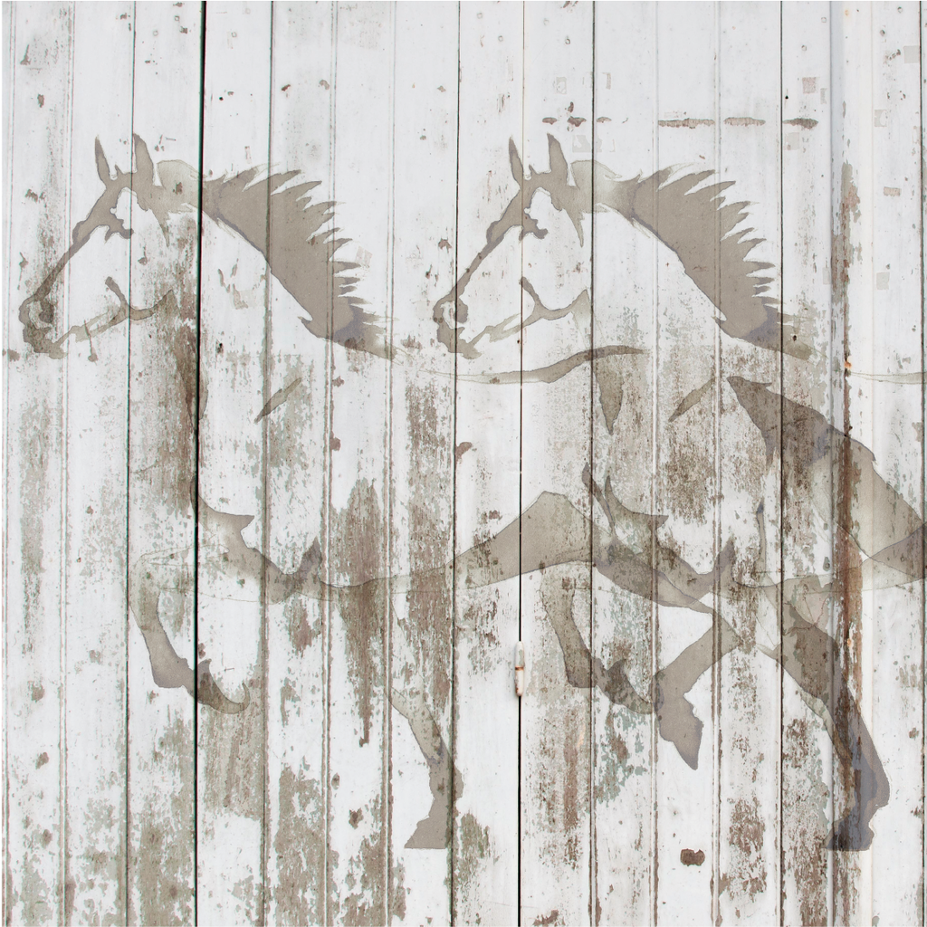 PAPEL MURAL - BIG 28