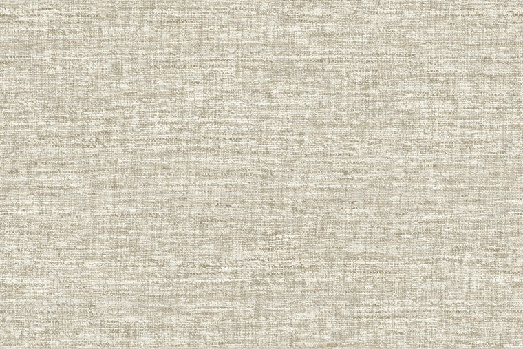 Papel Mural - Aspero - 40545A