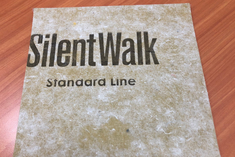 Silent Walk (10 mt2)